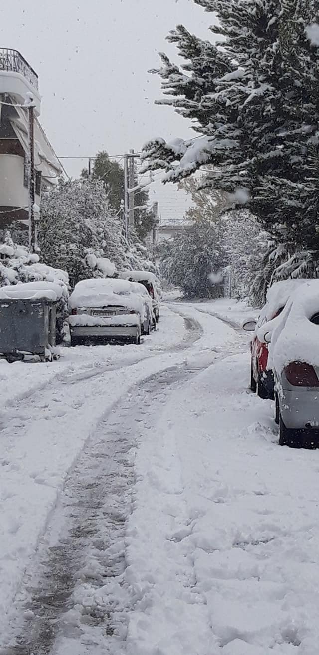 ΕΜΥ: Μία από τις εντονότερες των τελευταίων 40 ετών η χιονόπτωση που έπληξε τη χώρα