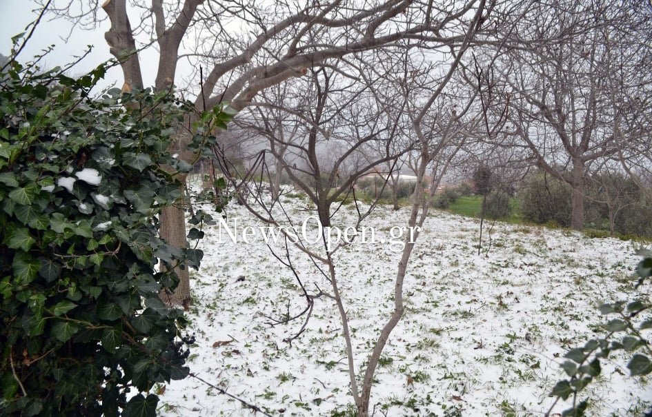 Χιονίζει και στο Άνω Καστρίτσι – Βίντεο