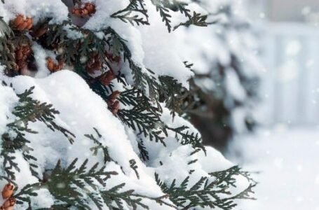 Αγριεύει ο καιρός τις επόμενες ώρες- Ποιες περιοχές θα κάνουν «λευκά» Χριστούγεννα -Πιθανότητα για χιόνια και σε πολύ χαμηλά υψόμετρα